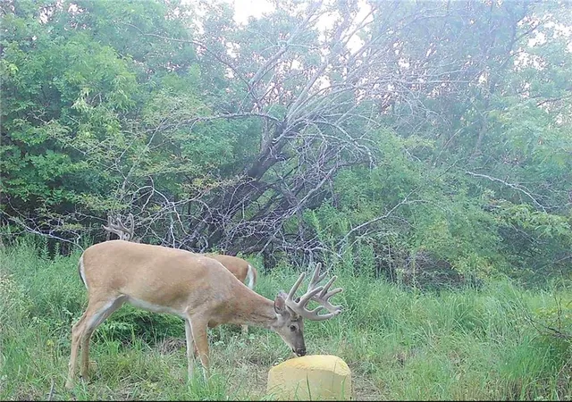 Photo 2 of Land for sale at 1673 17th Road, Waverly, KS 66871 | MLS# 2625135 | Listing updated on 2026-08-06
