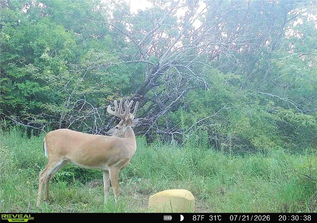Photo 4 of Land for sale at 1673 17th Road, Waverly, KS 66871 | MLS# 2625135 | Listing updated on 2026-08-06