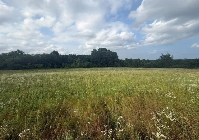 Photo 3 of Land for sale at 1601 Road, Montrose, MO 64770 | MLS# 2625146 | Listing updated on 2026-06-09
