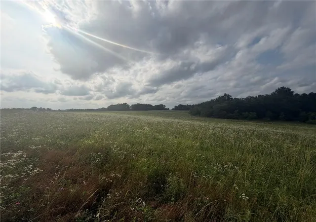 Photo 4 of Land for sale at 1601 Road, Montrose, MO 64770 | MLS# 2625146 | Listing updated on 2026-06-09
