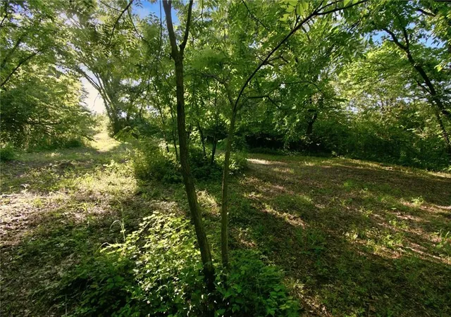 Photo 23 of Land for sale at 12500 Klatt Rd, Excelsior Springs, MO 64024 | MLS# 2625267 | Listing updated on 2026-08-11