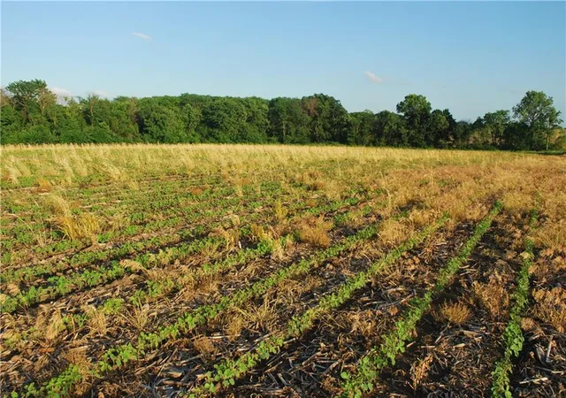 22nd image of 0000 142nd Rd, Hoyt, KS 66440 | MLS# 2625277