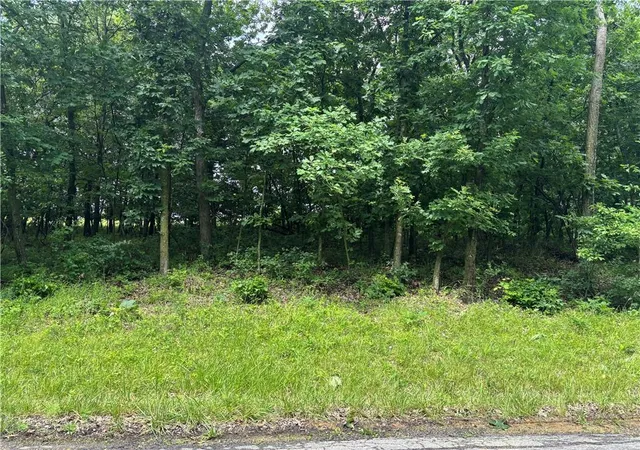 Homes for sale in Altamont, MO | Lot 3063 Lake Viking Ter, Altamont, MO 64620 | MLS# 2625583