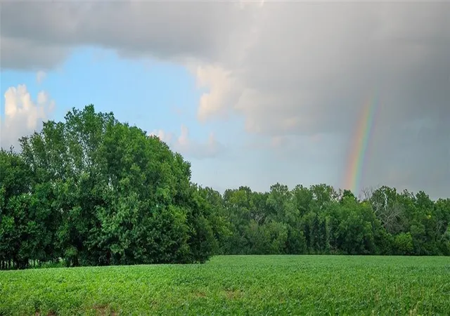 4th image of Tbd Rd, Hume, MO 64752 | MLS# 2626000