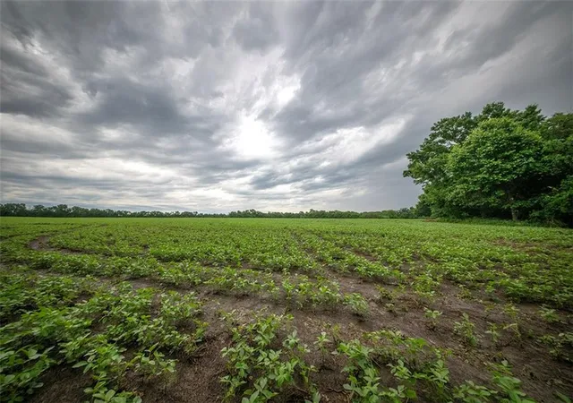 59th image of Sw County 13007 Rd, Hume, MO 64752 | MLS# 2626010