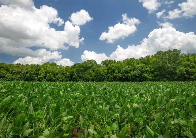 2nd image of Sw County 13007 Rd, Hume, MO 64752 | MLS# 2626010