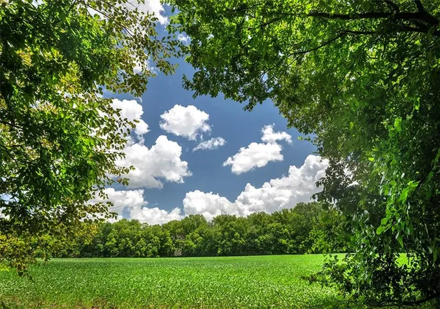 3rd image of Sw County 13007 Rd, Hume, MO 64752 | MLS# 2626010