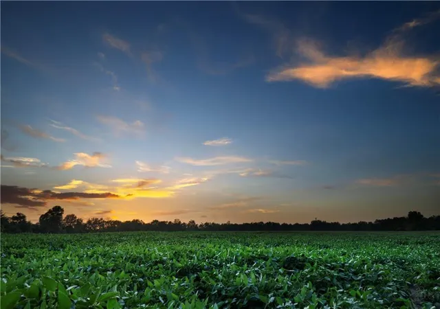 Photo 4 of Land for sale at SW County 13007 Rd, Hume, MO 64752 | MLS# 2626010 | Listing updated on 2026-08-31