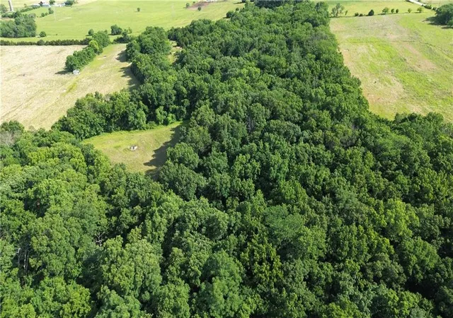 3rd image of 00000 Pressonville Rd, Paola, KS 66071 | MLS# 2626359
