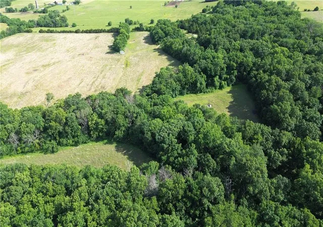 4th image of 00000 Pressonville Rd, Paola, KS 66071 | MLS# 2626359