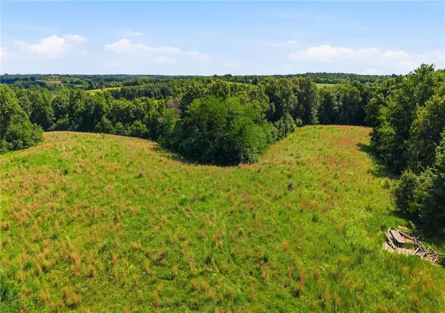 Homes for sale in Purdin, MO | Faulk Rd, Purdin, MO 64674 | MLS# 2626586