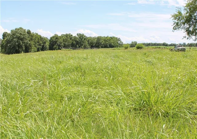 Homes for sale in Cairo, MO | 2239 County Road 1390 Road, Cairo, MO 65239 | MLS# 2626892