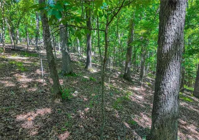 Homes for sale in Sunrise Beach, MO | Lot #1318 Champion Ct, Sunrise Beach, MO 65079 | MLS# 2627290