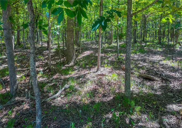 Photo 5 of Land for sale at Lot #902 Muirfield Dr, Sunrise Beach, MO 65079 | MLS# 2627291 | Listing updated on 2026-06-23