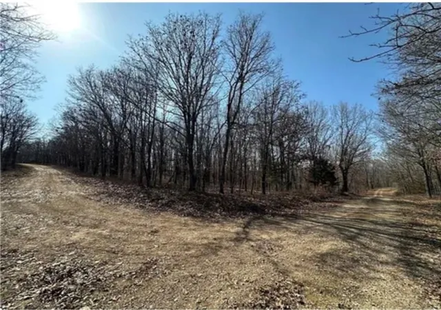 Homes for sale in Edwards, MO | Lots 3155,3156,3101 Rolfs Pl, Edwards, MO 65326 | MLS# 2627351