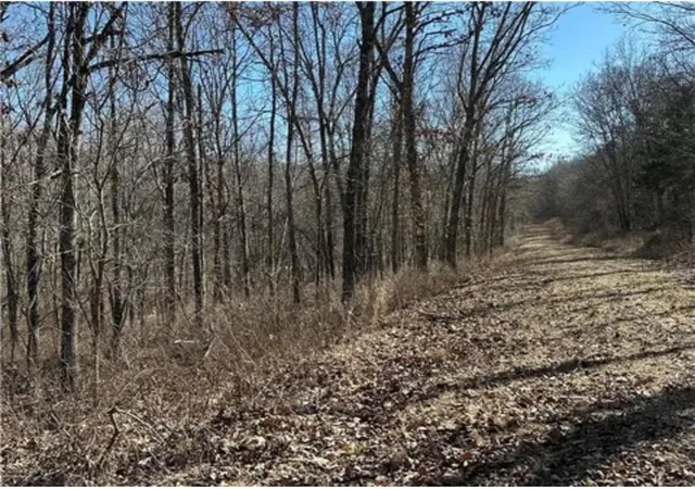 Homes for sale in Edwards, MO | Lots 3155,3156,3101 Rolfs Pl, Edwards, MO 65326 | MLS# 2627351