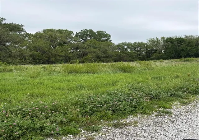 Photo 3 of Land for sale at S Davis St, Burlington Junction, MO 64428 | MLS# 2627510 | Listing updated on 2026-06-22