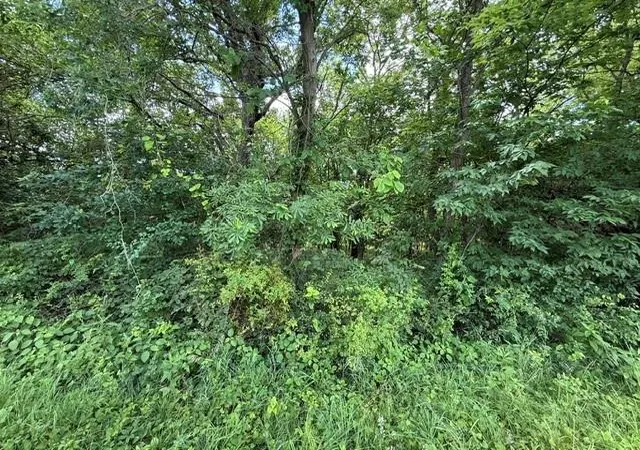 Homes for sale in Turney, MO | Tbd 69 Hwy, Turney, MO 64493 | MLS# 2627532