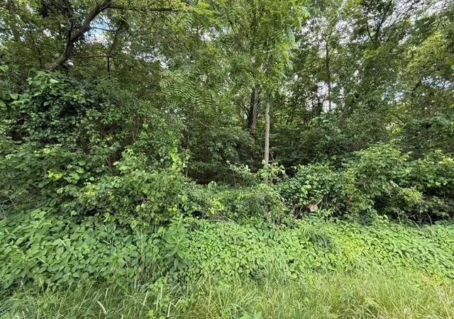 Homes for sale in Turney, MO | Tbd 69 Hwy, Turney, MO 64493 | MLS# 2627532