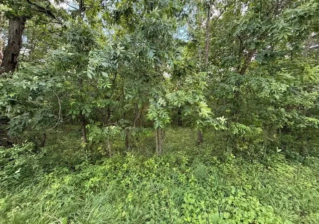 Homes for sale in Turney, MO | Tbd 69 Hwy, Turney, MO 64493 | MLS# 2627532