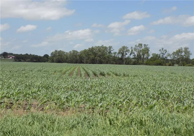 Homes for sale in Kincaid, KS | 300 Road & Oregon Road, Kincaid, KS 66039 | MLS# 2627662