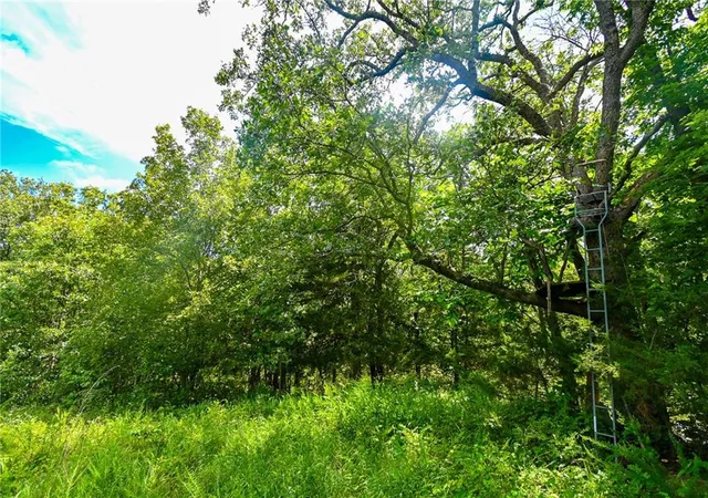 3rd image of 5760 Ne 871 Private Road Road, Osceola, MO 64776 | MLS# 2627829