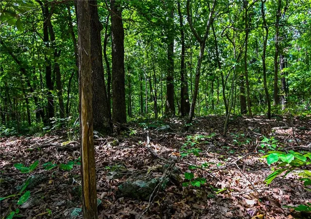 5th image of 5760 Ne 871 Private Road Road, Osceola, MO 64776 | MLS# 2627829