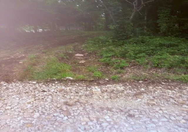 4th image of 73 Lou Ann Dr, La Cygne, KS 66040 | MLS# 2628147