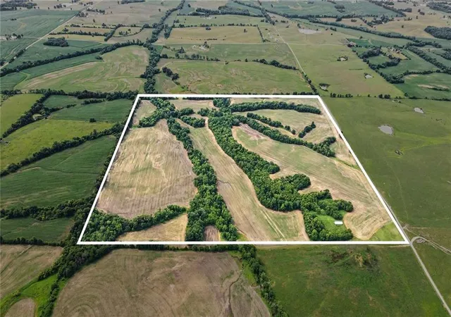 Homes for sale in Braymer, MO | 000 Cowsert Rd, Braymer, MO 64624 | MLS# 2628176