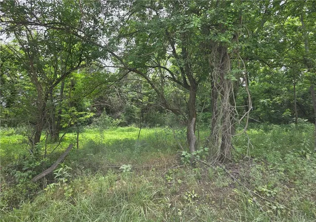 Homes for sale in Pleasanton, KS | 800 Rd, Pleasanton, KS 66075 | MLS# 2628240
