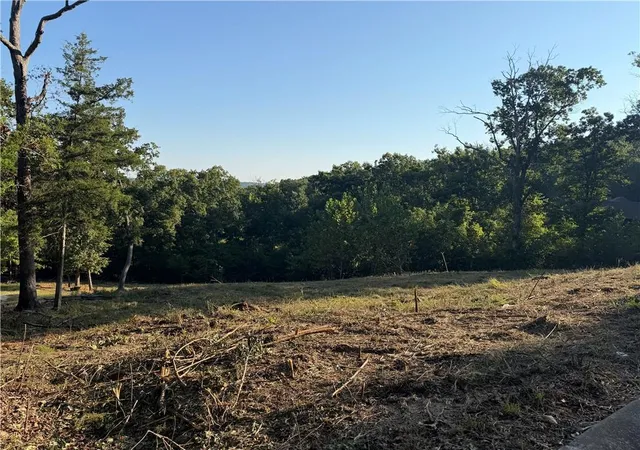 Photo 2 of Land for sale at Lot 9 Country Ridge Dr, Camdenton, MO 65020 | MLS# 2628412 | Listing updated on 2026-08-31