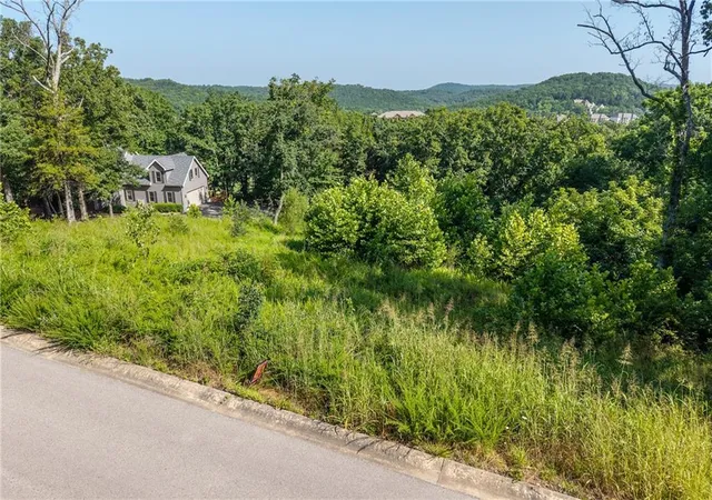 Homes for sale in Camdenton, MO | Lot 9 Country Ridge Dr, Camdenton, MO 65020 | MLS# 2628412