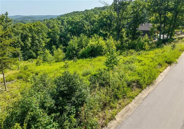 Homes for sale in Camdenton, MO | Lot 9 Country Ridge Dr, Camdenton, MO 65020 | MLS# 2628412