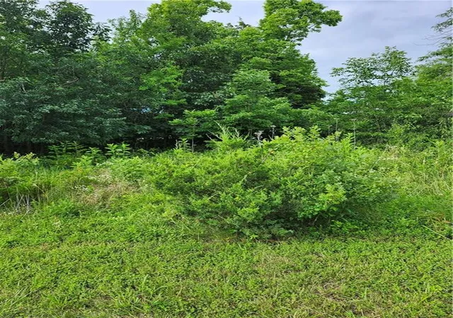 4th image of 9 E Ridgewood Cir, Linn Valley, KS 66040 | MLS# 2628558