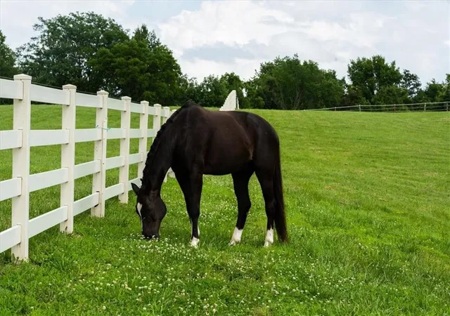 2nd image of Lot 2 Bridle Parc Ln, Kansas City, MO 64152 | MLS# 2628675