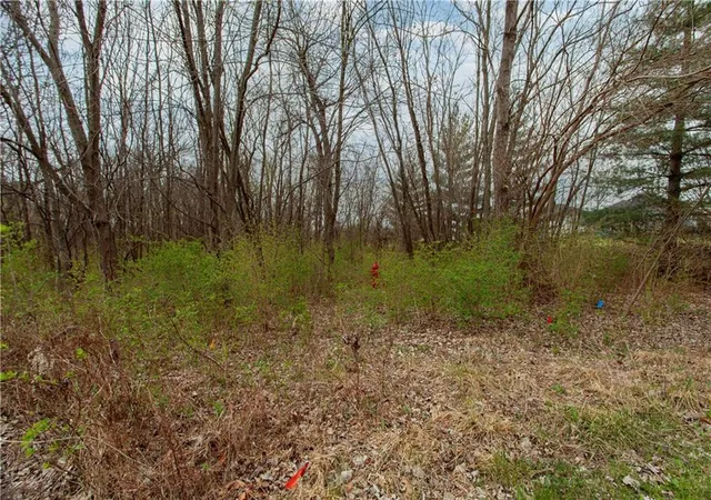 2nd image of 802 Se Willow Ridge Dr, Blue Springs, MO 64014 | MLS# 2628820