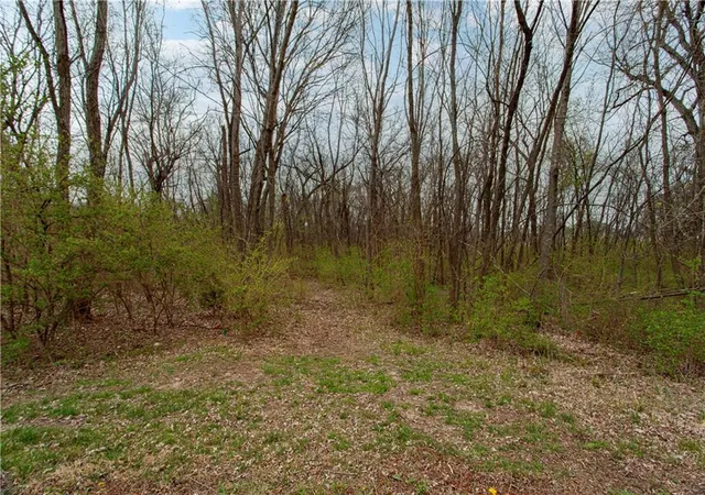 3rd image of 802 Se Willow Ridge Dr, Blue Springs, MO 64014 | MLS# 2628820