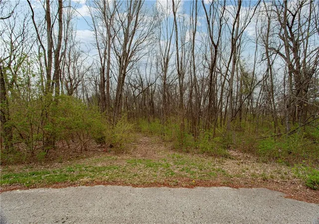 4th image of 802 Se Willow Ridge Dr, Blue Springs, MO 64014 | MLS# 2628820