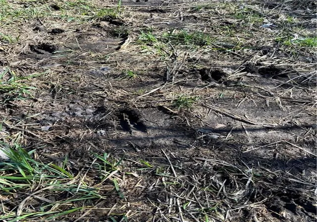 Photo 3 of Land for sale at 00000 Reaper Rd, Waverly, KS 66871 | MLS# 2628871 | Listing updated on 2026-08-15