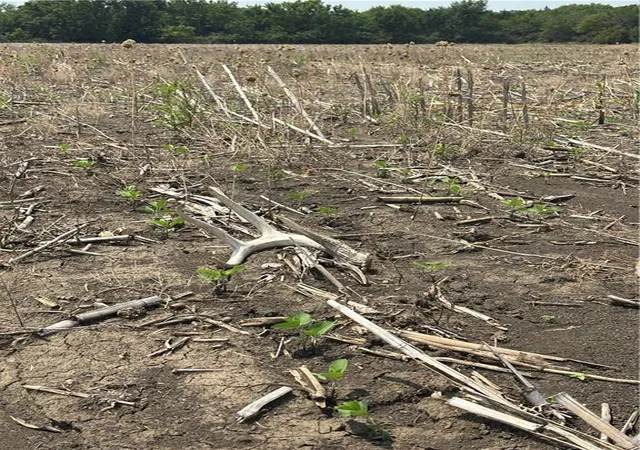 Photo 4 of Land for sale at 00000 Reaper Rd, Waverly, KS 66871 | MLS# 2628871 | Listing updated on 2026-08-15