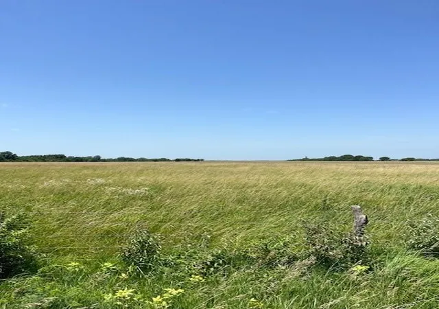 Homes for sale in Louisburg, KS | 0005 Switzer Rd, Louisburg, KS 66053 | MLS# 2629075