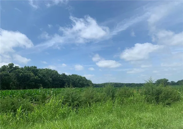 Homes for sale in Centerville, KS | 00000 Faucett Rd, Centerville, KS 66014 | MLS# 2629108