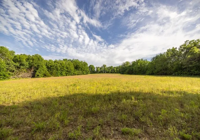 42nd image of Tract A Ne 900th Rd, Knob Noster, MO 65336 | MLS# 2629324