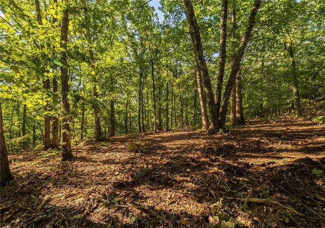 Homes for sale in Osceola, MO | Tbd T Hwy, Osceola, MO 64776 | MLS# 2630129