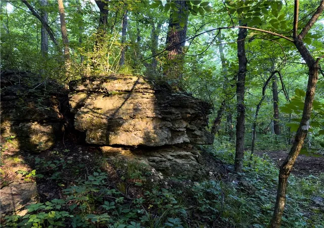 Photo 5 of Land for sale at East 192nd St, Richmond, MO 64085 | MLS# 2630136 | Listing updated on 2026-07-16