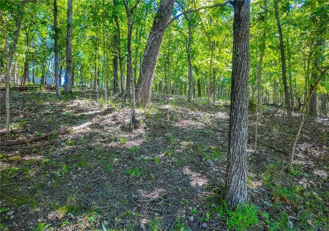Homes for sale in Sunrise Beach, MO | Lot #251 Grand Cove Rd, Sunrise Beach, MO 65079 | MLS# 2630254