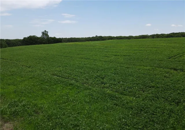 Homes for sale in Mc Louth, KS | Lot 4 259Th St, Mc Louth, KS 66054 | MLS# 2630425