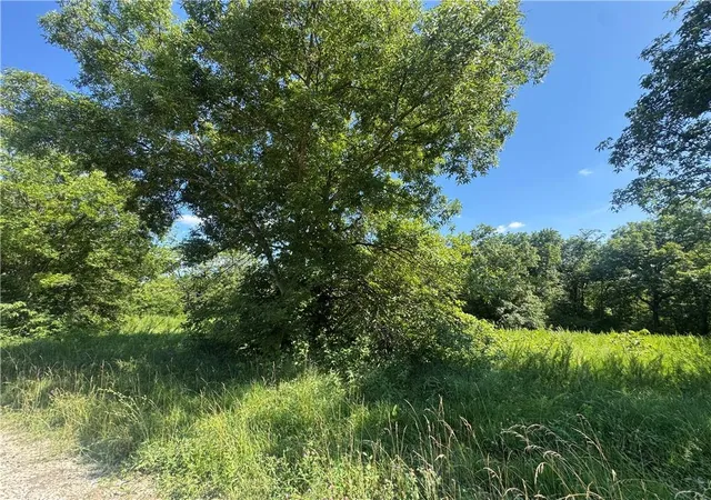 3rd image of Fishing River Rd, Lawson, MO 64062 | MLS# 2630664