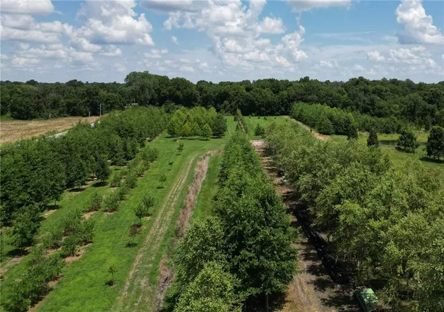 2nd image of 22701 Timberview Rd, Harrisonville, MO 64701 | MLS# 2630779