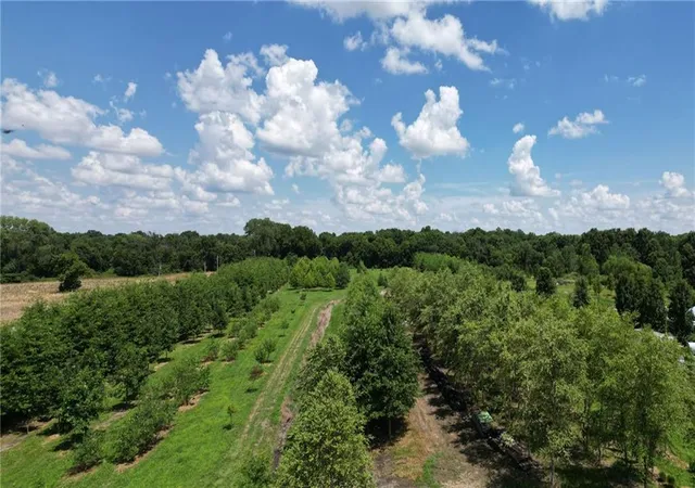 5th image of 22701 Timberview Rd, Harrisonville, MO 64701 | MLS# 2630779